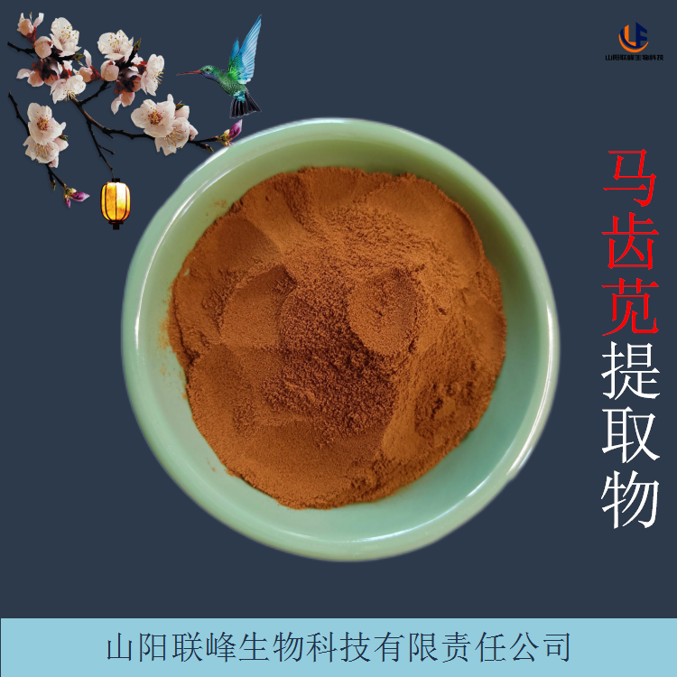 马齿苋提取物 水溶性浓缩浸膏粉 可根据要求定制