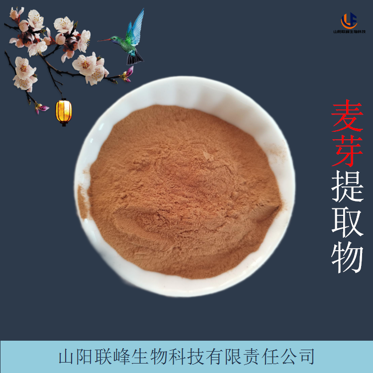 大麦芽提取物 比例提取水溶性大麦芽粉 浸膏粉 1KG/袋