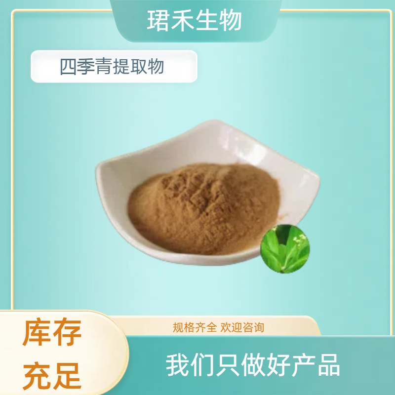 四季青提取物 水溶四季青粉 浓缩粉/浸膏 多种规格可定制