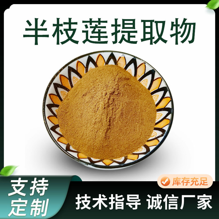 半枝莲提取物 10:1水溶浓缩粉 半枝莲粉 水提 原料粉