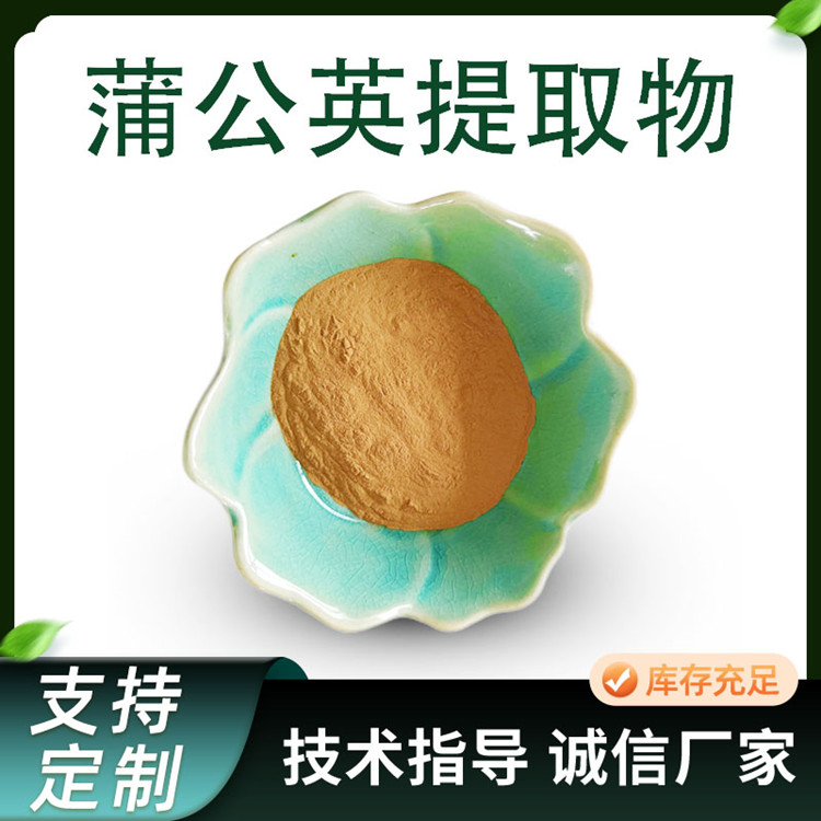 黄花苗浓缩粉 易溶解 水提 蒲公英提取物 植物提取物原料