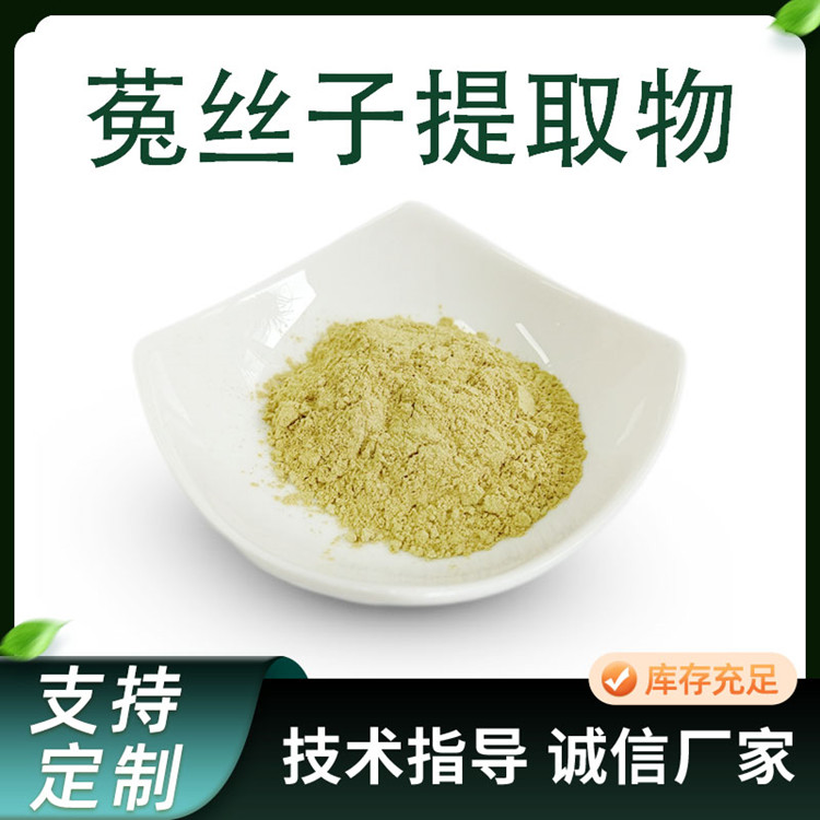 菟丝子提取物 水溶性10:1比例浓缩粉 喷雾干燥工艺 原料