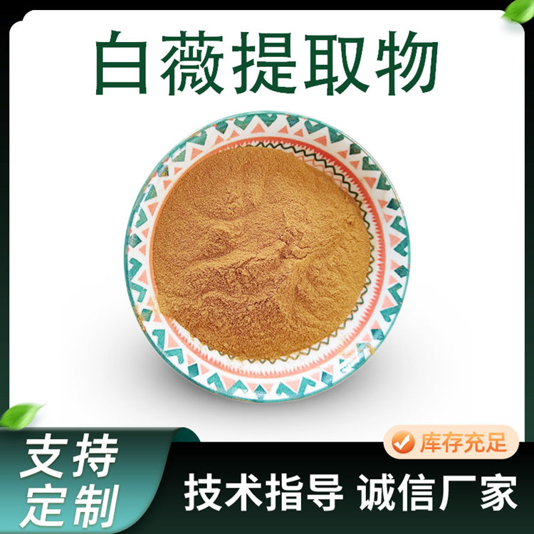 白薇提取物 比例水溶浓缩粉 化妆品原料 喷雾干燥粉 1kg/包