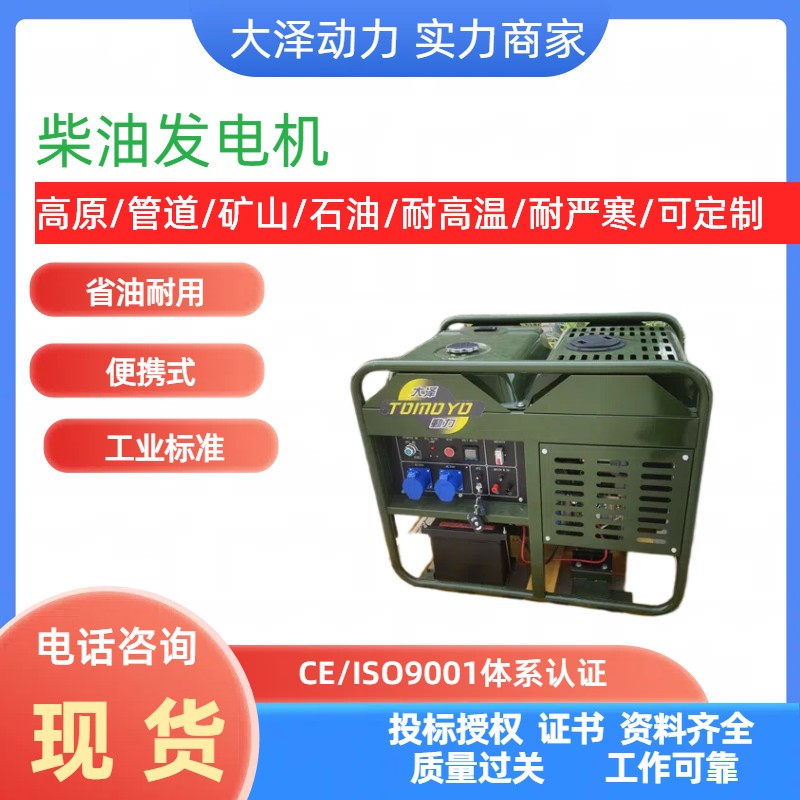 双电压全自动发电机 大泽动力 TO14000KZ电动25L10000W柴油发电机组
