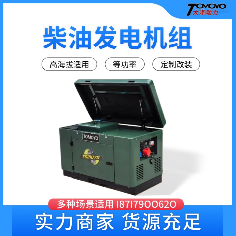 发电机大泽动力TO14000R电动32L10000W 高原款高海拔使用 OEM定制