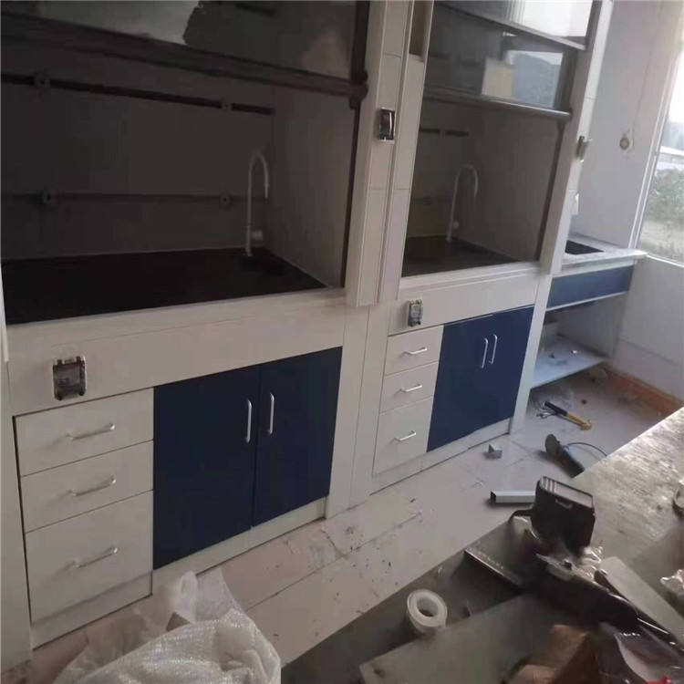 LUMI 实验室通风柜全钢落地通风橱上门安装承重强