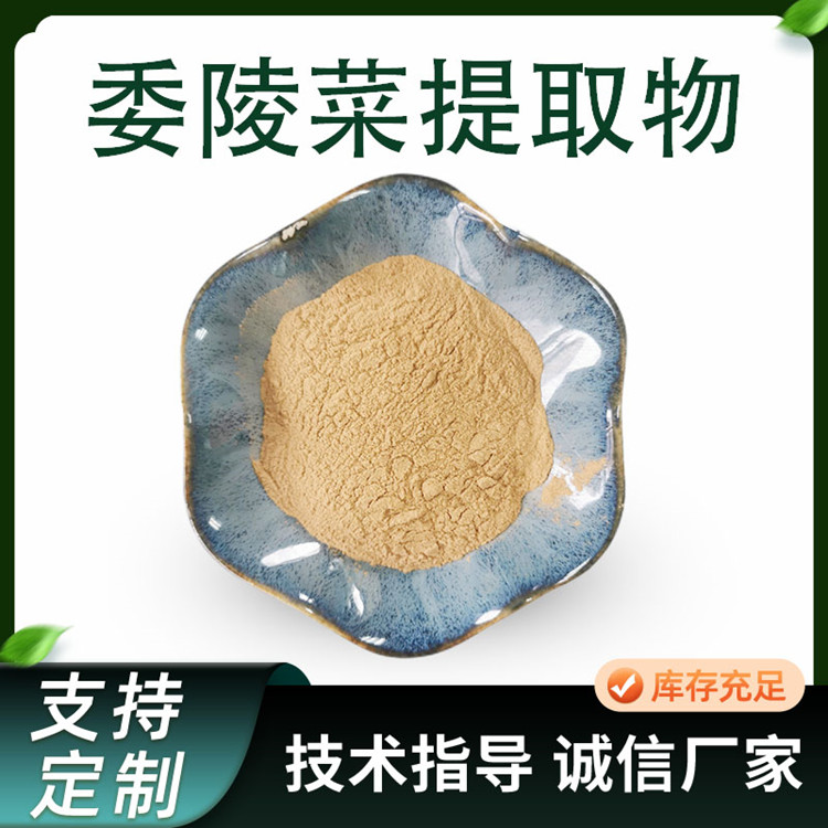 委陵菜提取物 10:1比例浓缩粉 水溶性委陵菜粉 喷雾干燥技术