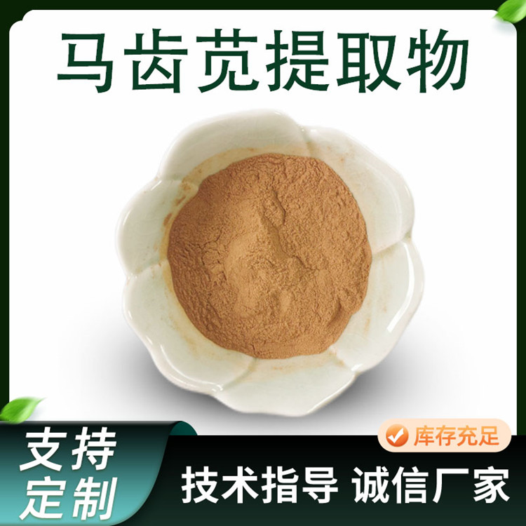 马齿苋提取物 10:1 马苋 水溶性浓缩 浸膏粉 五行草粉 可定制