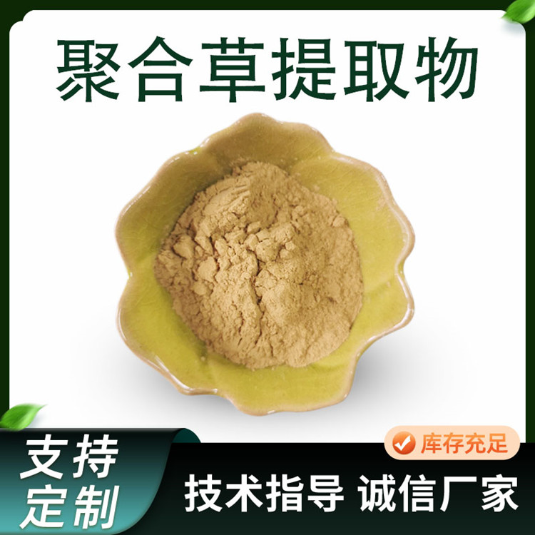 聚合草提取物 友谊草/肥羊草浓缩粉 水溶原料 植物萃取 1kg装