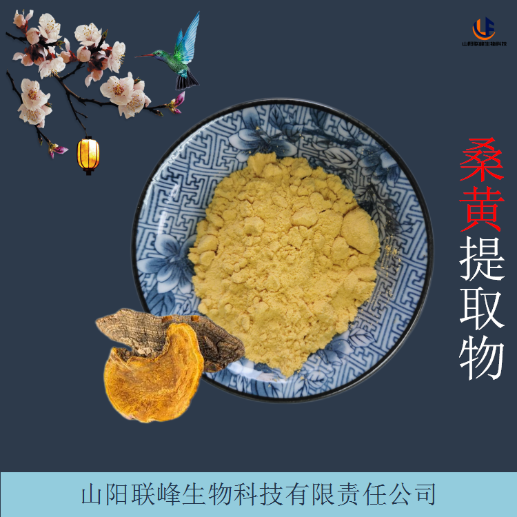 桑黄提取物 水溶植物浓缩桑菇粉 含多糖 黄酮 原料粉