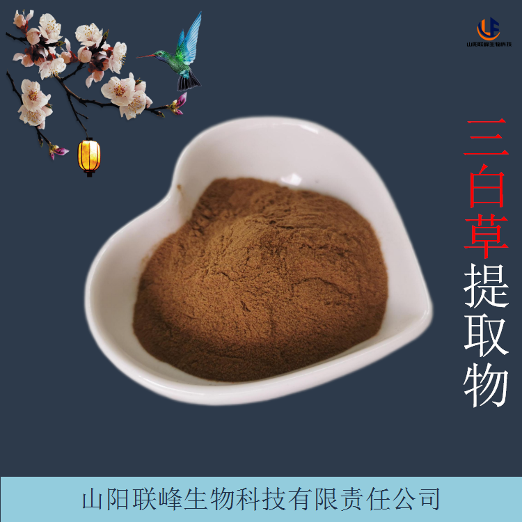 三白草提取物 浓缩速溶塘边藕浸膏粉 植物原料粉