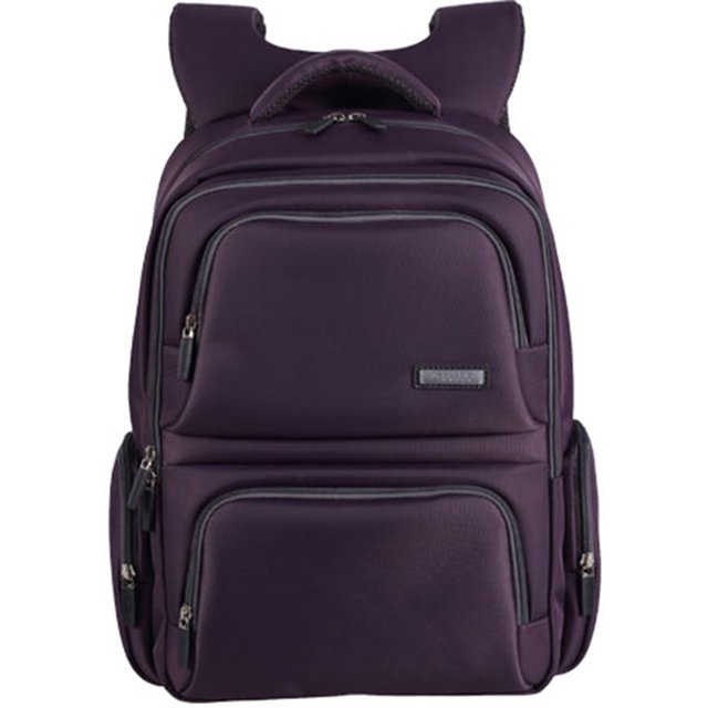 阿波罗之梦大容量尼龙防泼水商务休闲双肩电脑背包定制216015