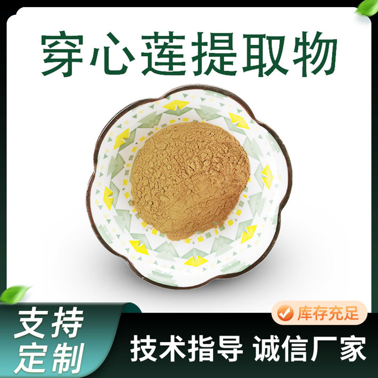 10:1水溶性浓缩粉 穿心莲提取物 植物萃取原料 可定制