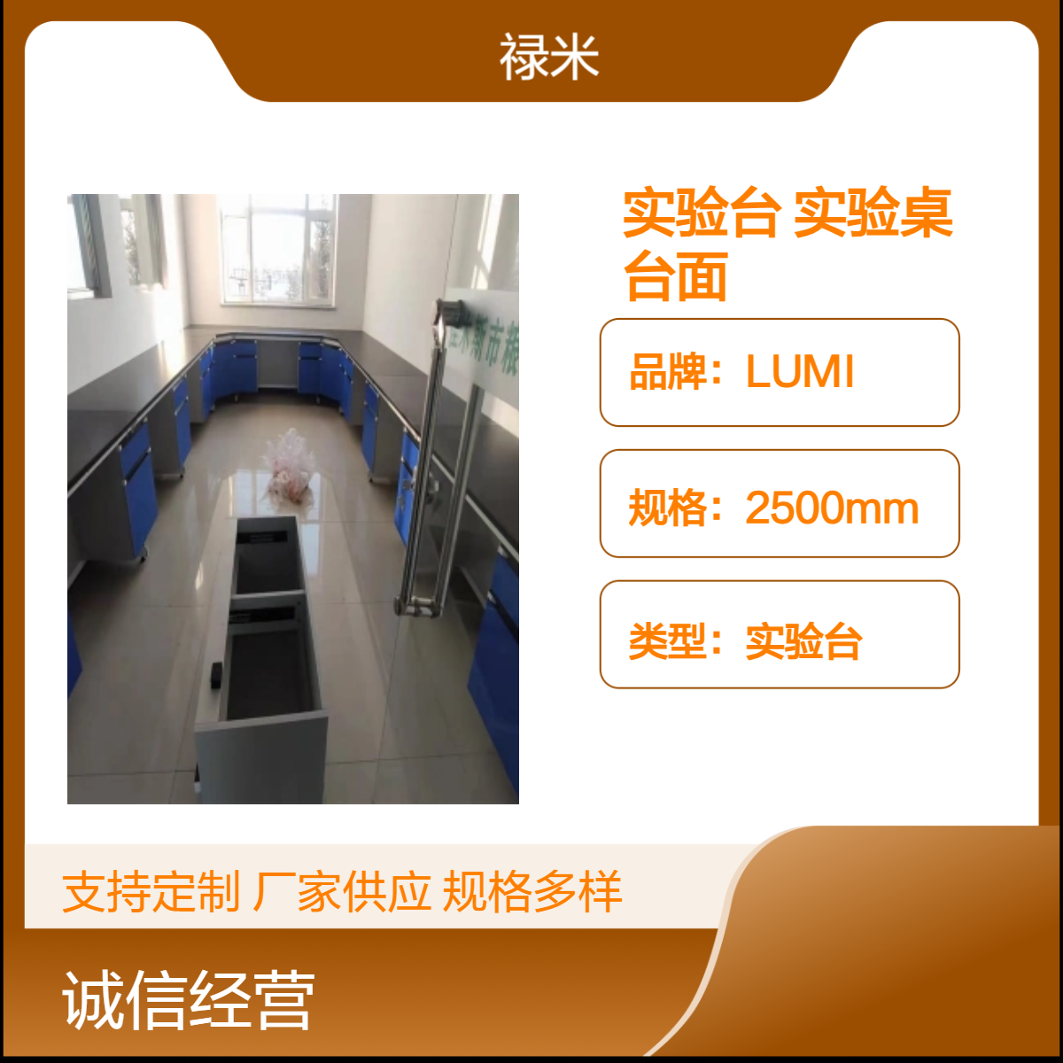 LUMI 钢木实验台定制防腐实验桌 防腐蚀理化板台面