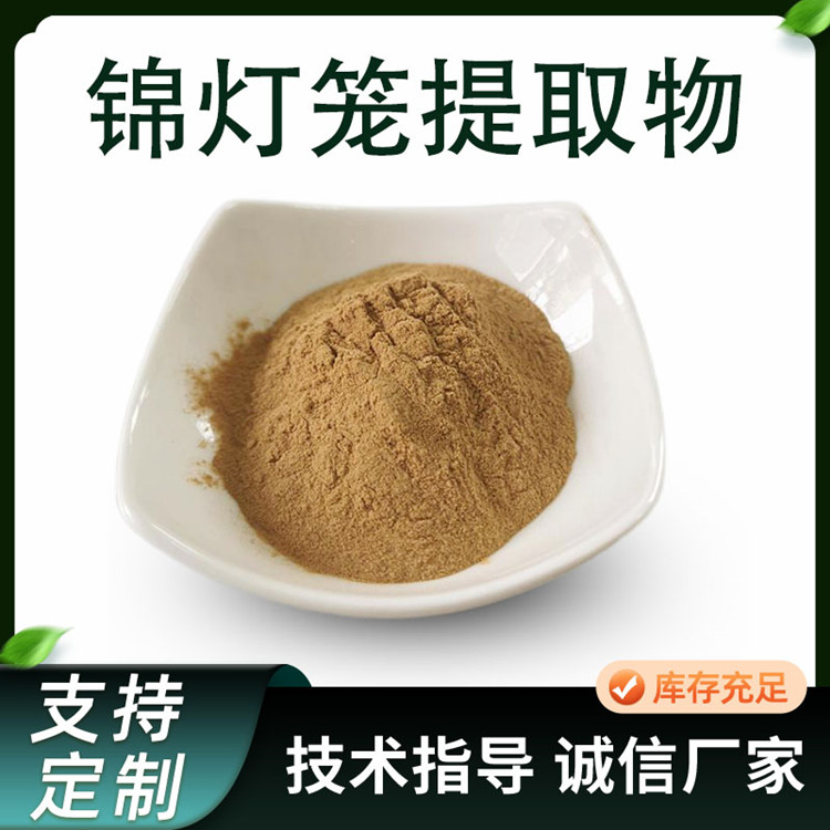 锦灯笼提取物 水溶浓缩金姑娘粉 植物原料粉 比例萃取