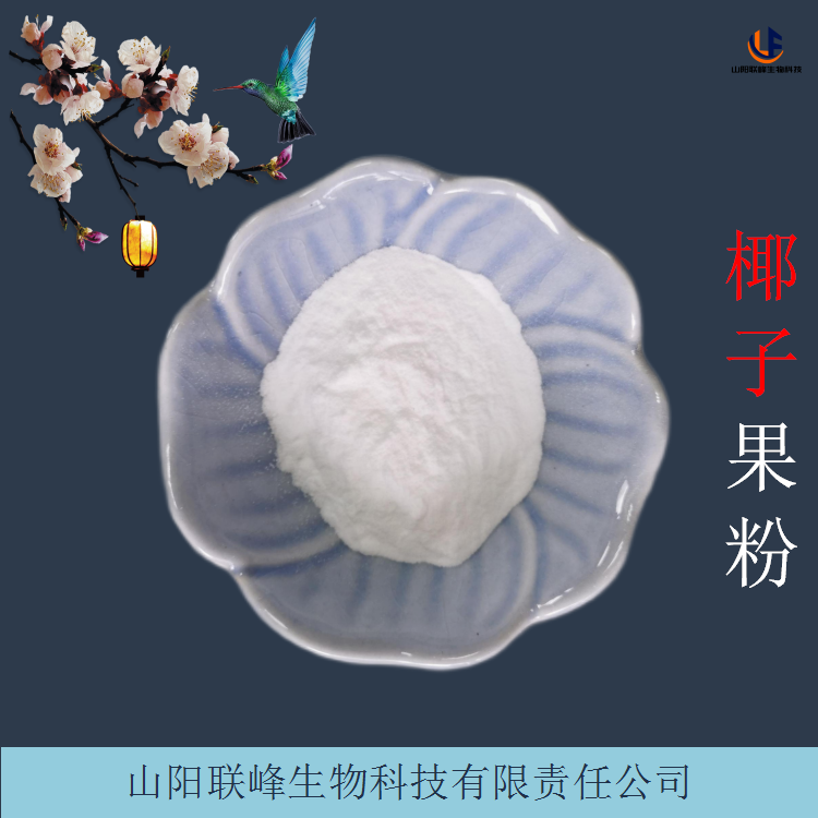 椰子提取物 速溶椰子果粉 喷雾干燥原料粉 类白色粉末