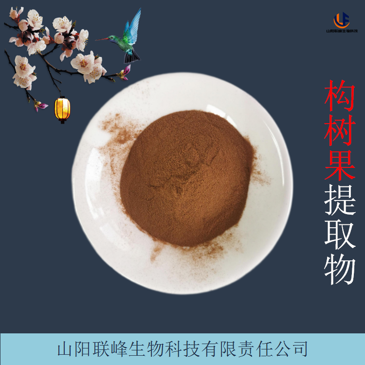 构树果浓缩粉 10:1喷雾干燥构树果提取物 细腻粉末 可水溶