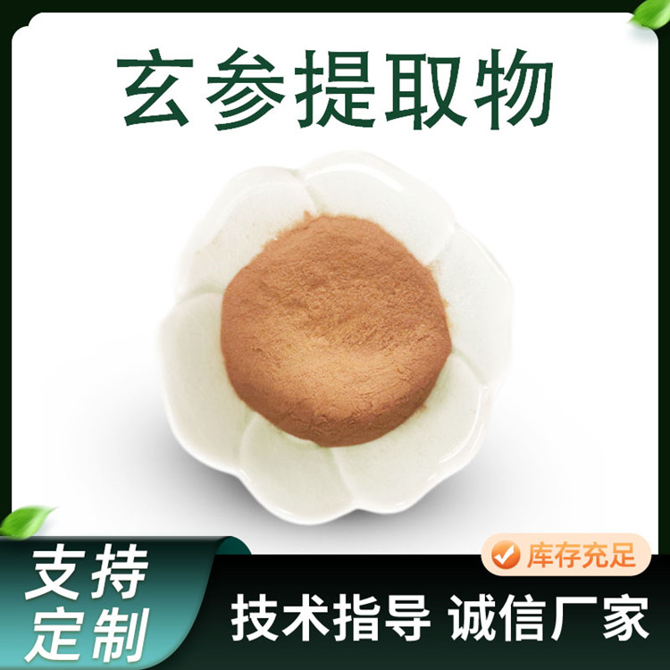 玄参提取物 参类水提浓缩粉 玄参皂甙 10:1比例原料