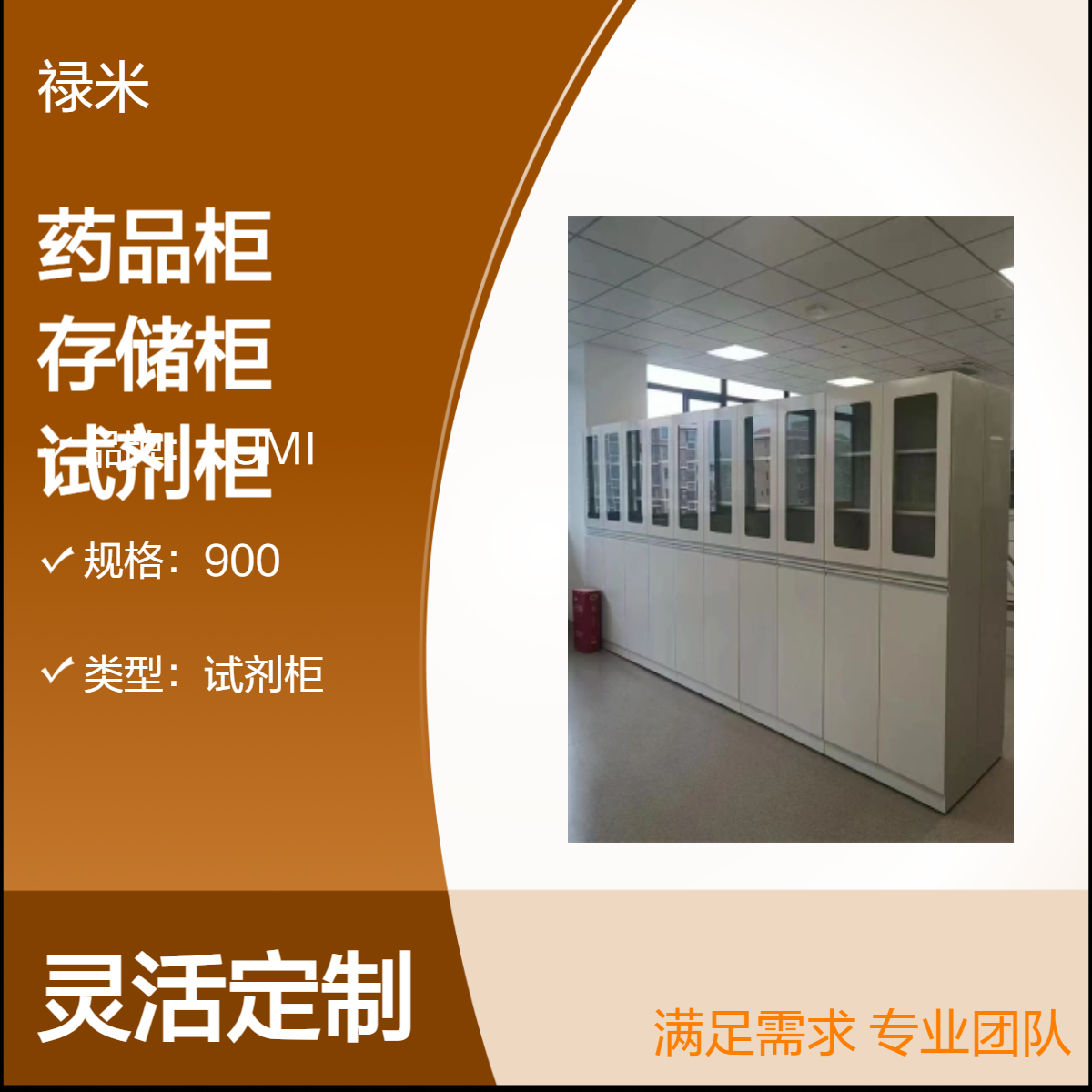 LUMI 全钢材质药品柜 耐腐蚀化学品存储柜试剂柜