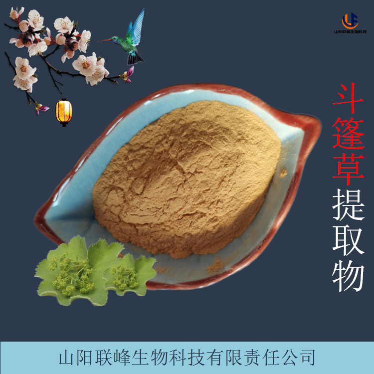 斗篷草提取物 10:1水溶羽衣草粉 比例原料萃取 溶解性好