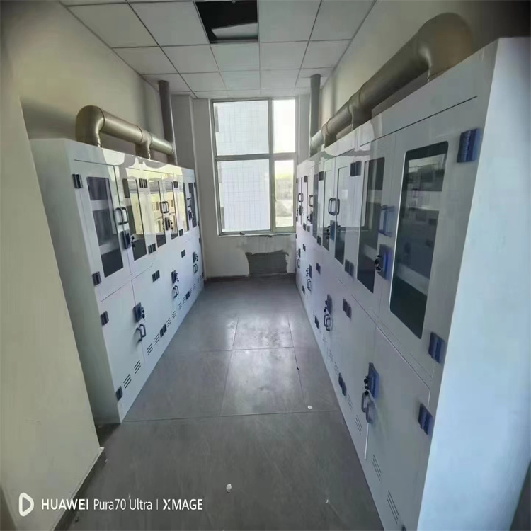 LUMI 耐腐蚀PP试剂柜使用寿命长 实验室化学柜