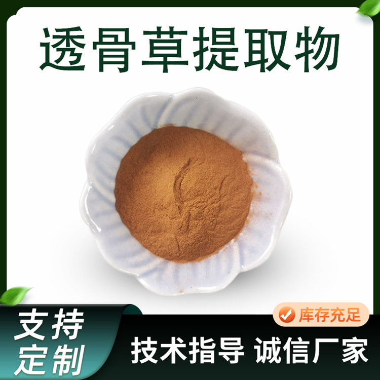 透骨草提取物 10:1浓缩粉 透骨草粉 水提 植物萃取 国标标准