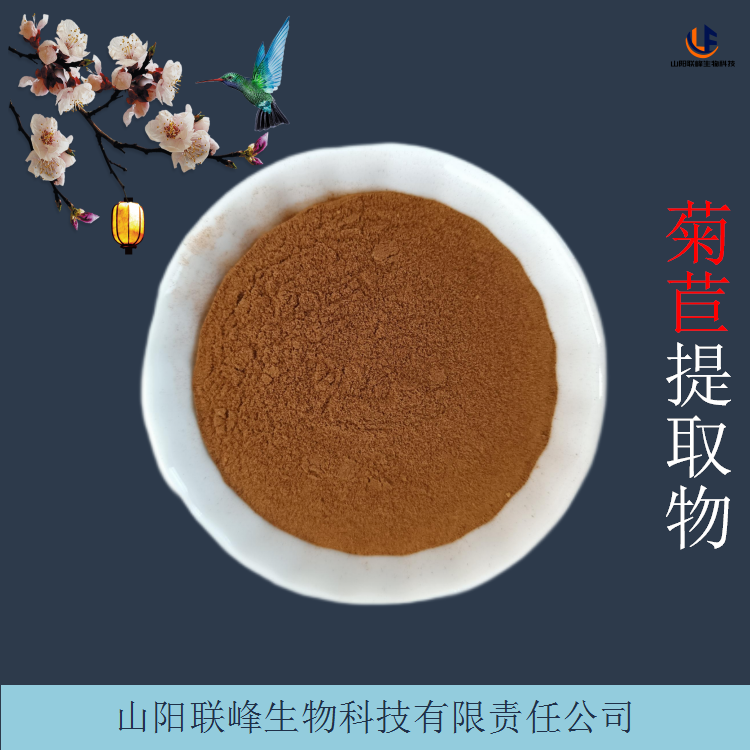 食用级菊苣提取物 规格10:1 水溶性菊苣根粉 细腻粉末