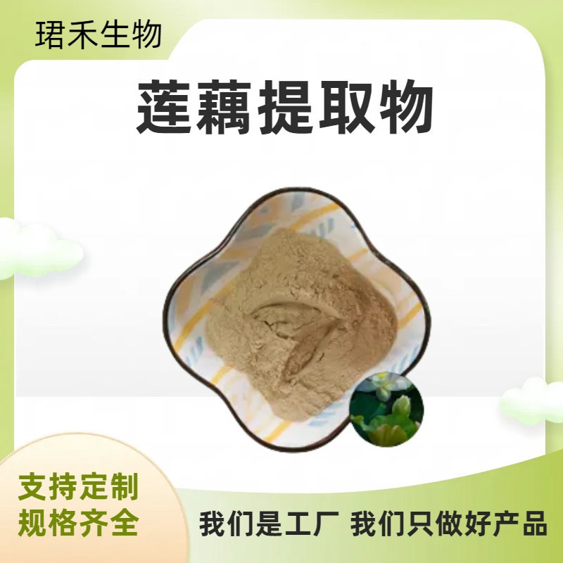 莲藕提取物10：1 莲菜粉 速溶浓缩 食品级可定制 珺禾生物