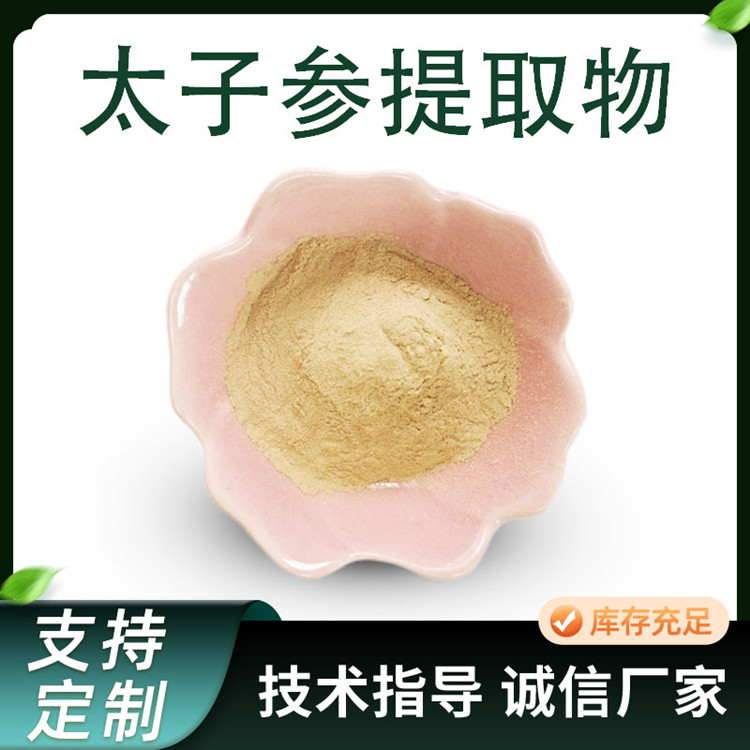 太子参提取物10:1 太子参皂甙 水溶孩儿参浓缩粉 1公斤/包