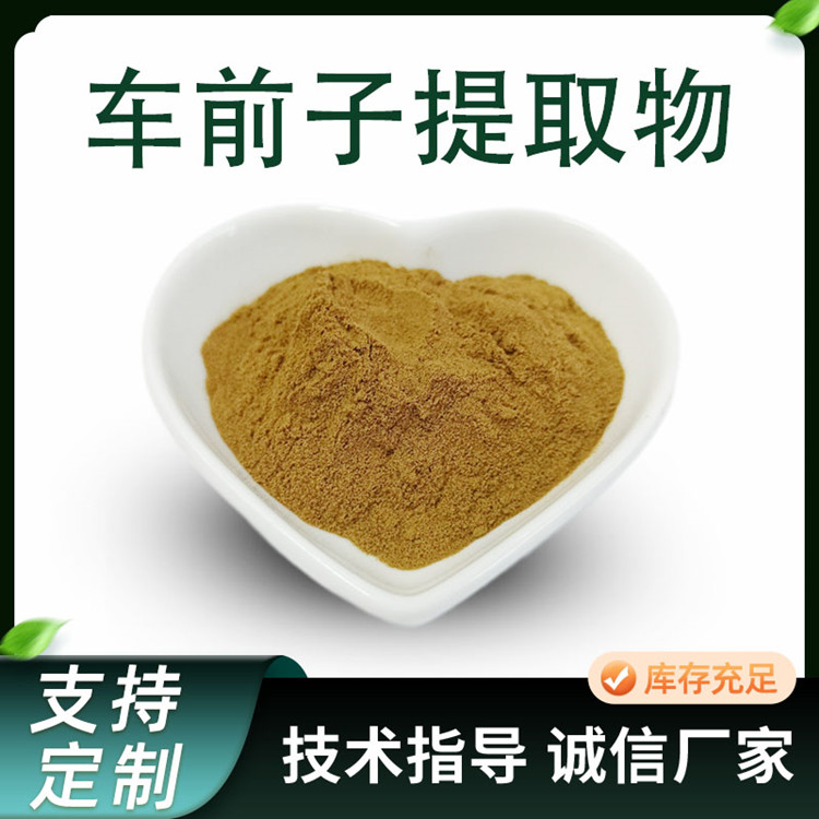 车前子提取物 10:1水溶车前子粉 联峰生物 植物萃取原料