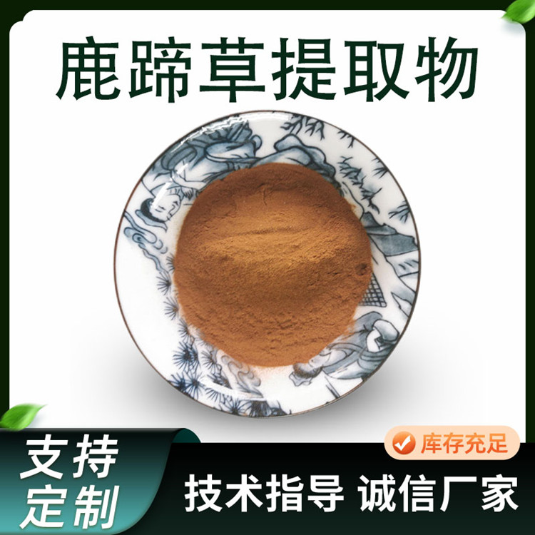 鹿蹄草提取物 喷雾干燥鹿含草粉 10:1浓缩萃取原料 水提