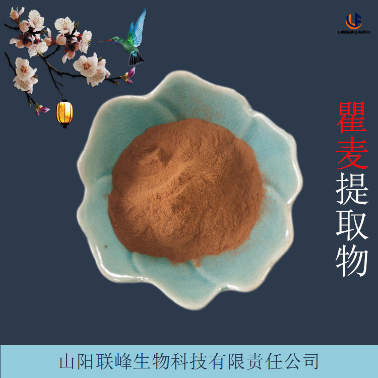 瞿麦提取物 水溶10:1浓缩瞿麦粉 植物原料萃取 100目
