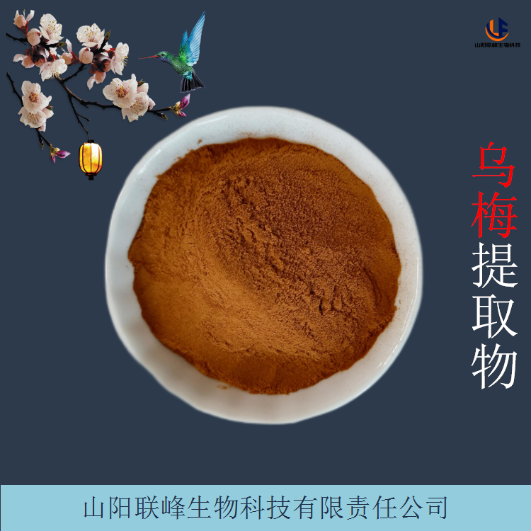 浓缩黑梅粉 乌梅提取物 10:1水溶乌梅果粉 固体饮料原料