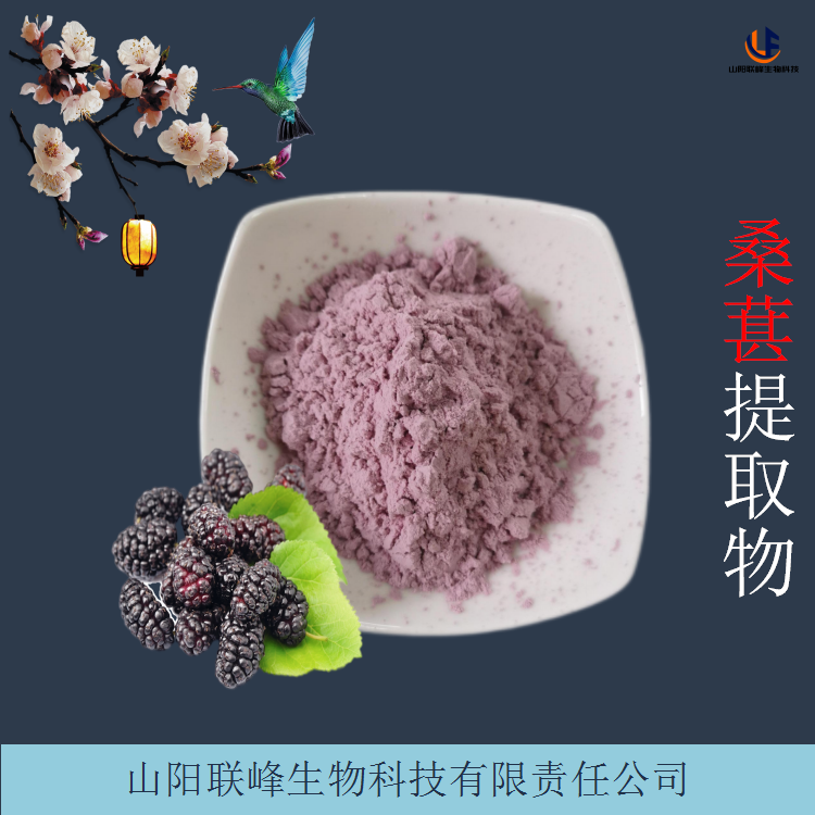 桑葚提取物 水溶性桑葚果粉 浓缩桑果汁粉 固体饮料原料
