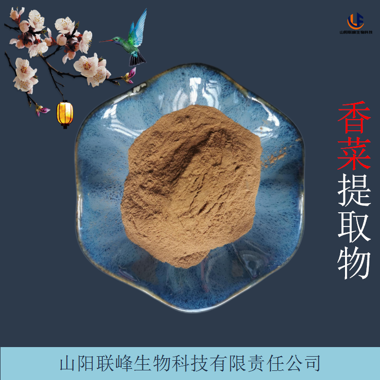 香菜提取物 浓缩浸膏粉 芫荽提取物 食品级水溶性芫荽粉