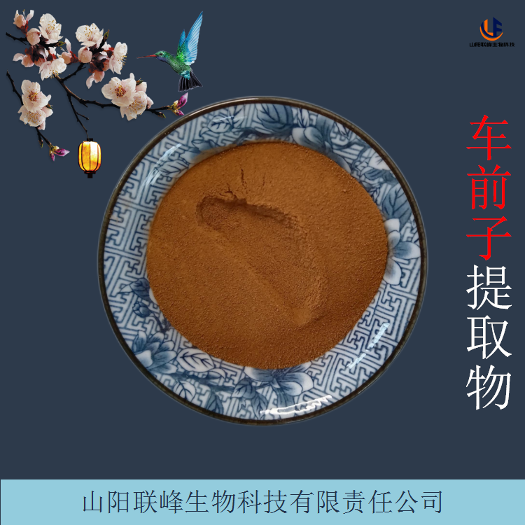车前子提取物 喷雾干燥萃取车前子原料粉 1000g起
