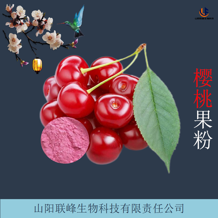 食品级车厘子果粉 樱桃提取物 可定制生产多种规格 果汁粉
