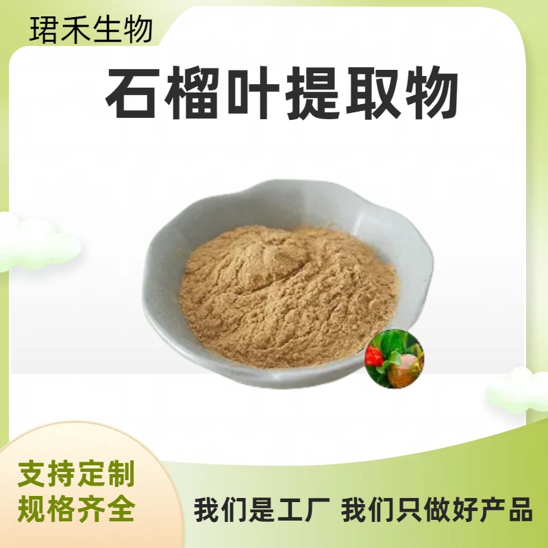 石榴叶提取物10:1 石榴叶粉 食品级专业植提 多规格可定制 水溶性好