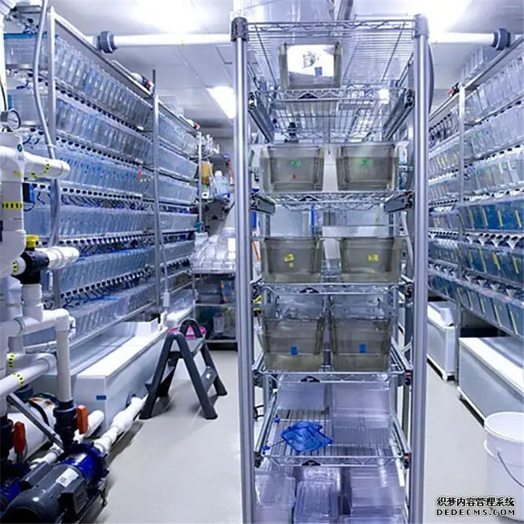 LUMI 动物房实验室设计装修施工改造工程公司 一站式服务
