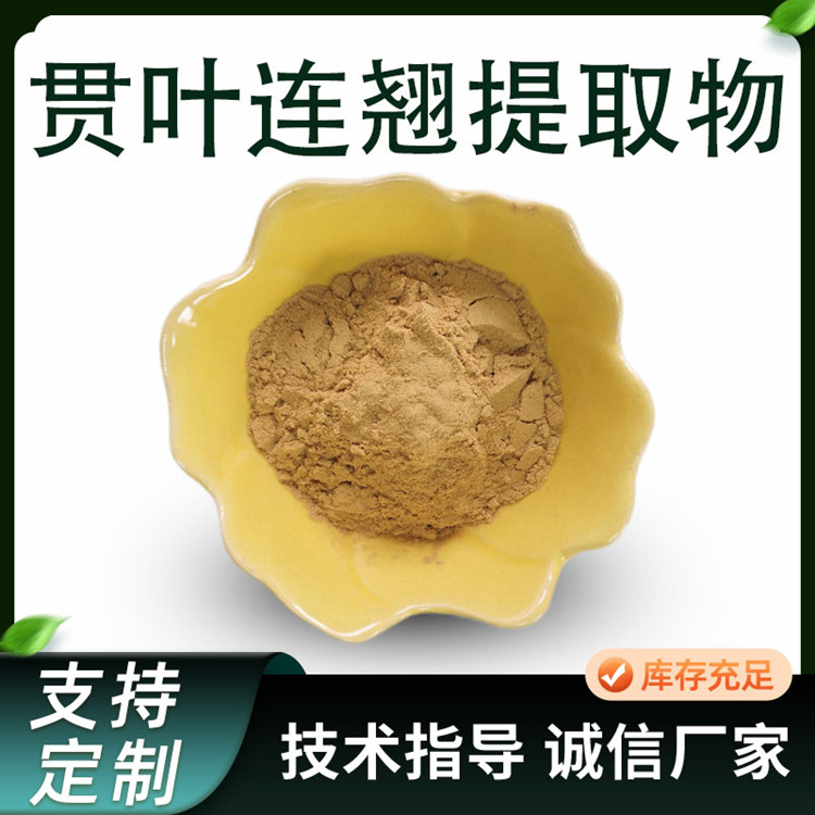 联峰生物 贯叶连翘提取物 10:1 比例 水提 浓缩 粉 可定制 1kg起批