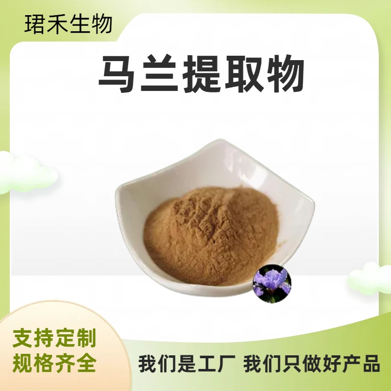 质量稳定 马兰提取物20：1 速溶粉/浸膏粉 多比例可定制