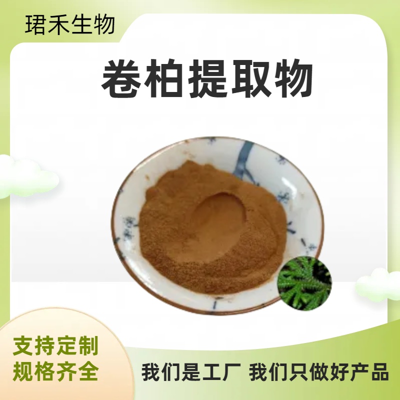 卷柏提取物 还魂草浓缩粉 水溶卷柏粉 多规格可定制 质量稳定