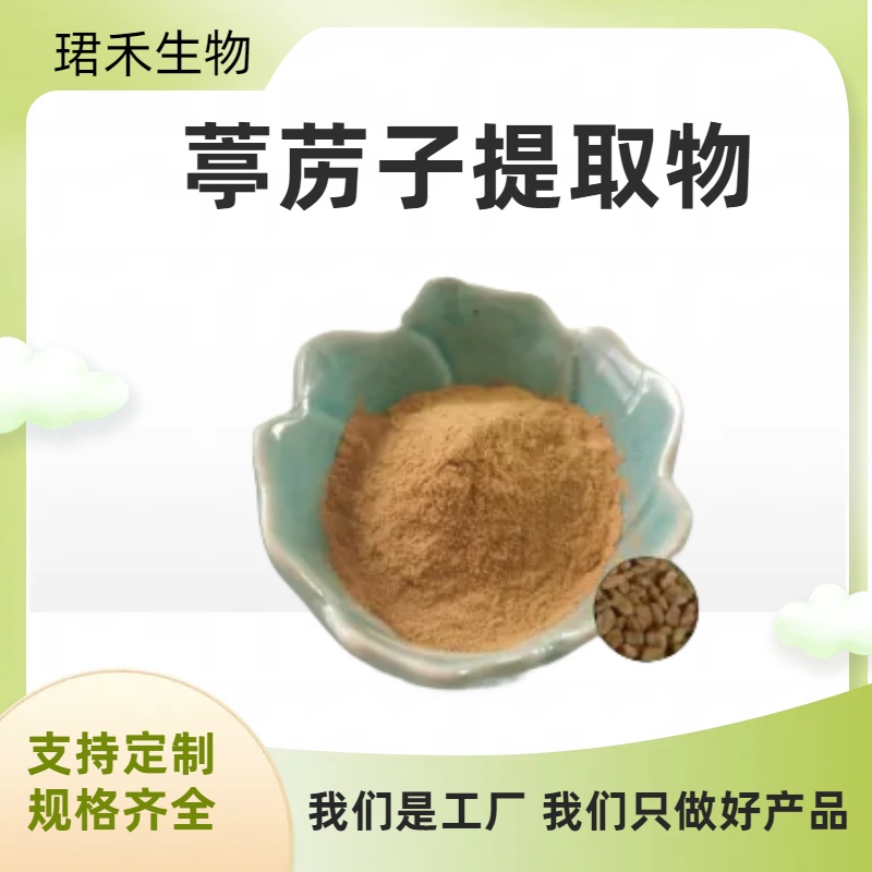 葶苈子提取物 10:1 水溶葶苈子粉 食品原料 多规格