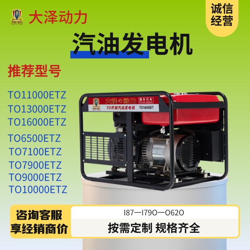 10KW汽油发电机 出口品质 大泽动力TO11000ETZ 双缸等功率 220V380V