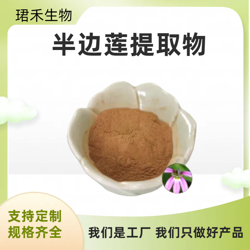 半枝莲粉 半边莲提取物10:1 水溶粉/浸膏 化妆品原料 可定制规格