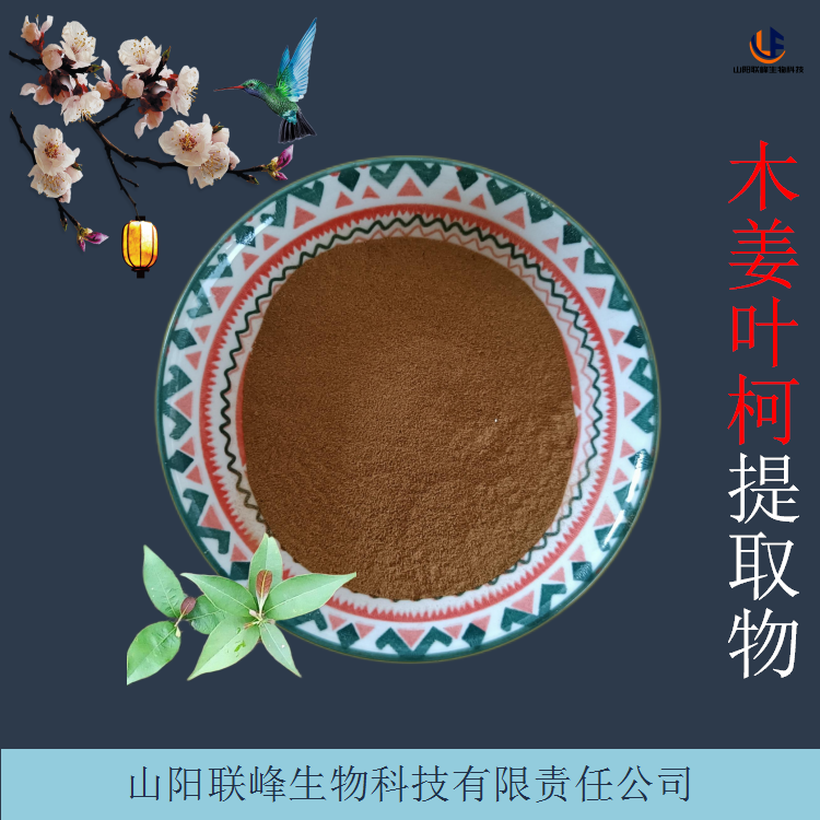 木姜叶柯提取物 比例浓缩浸膏粉 可定制规格 1kg起批