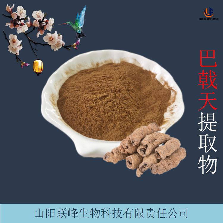 巴戟天多糖30% 10:1比例巴戟天提取物 支持拿样