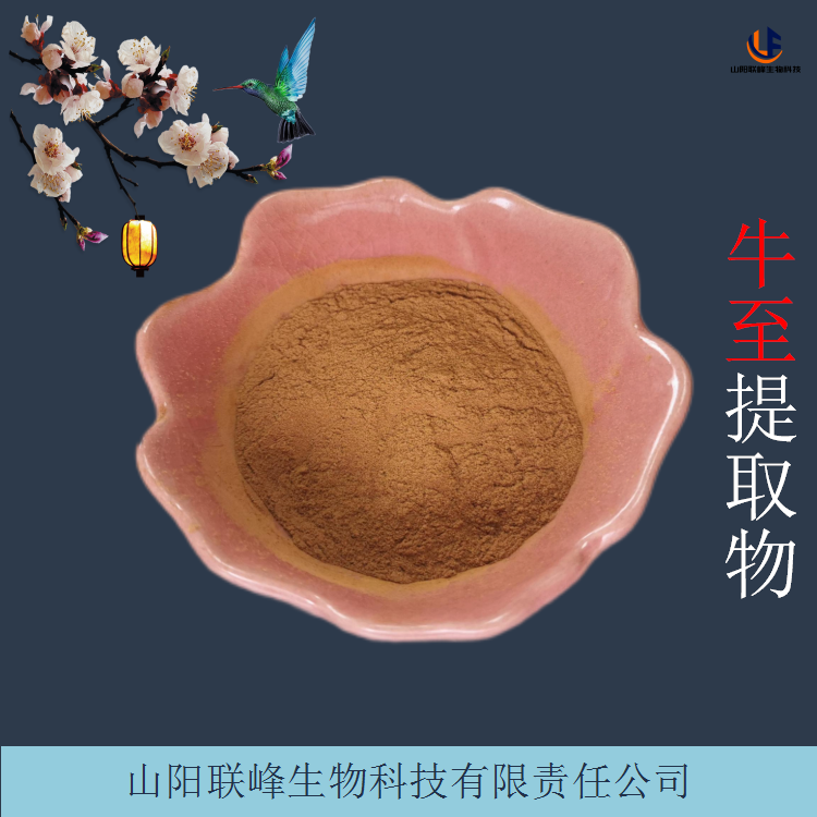牛至提取物 水溶性牛至浓缩粉 易溶原料粉 溶解性好