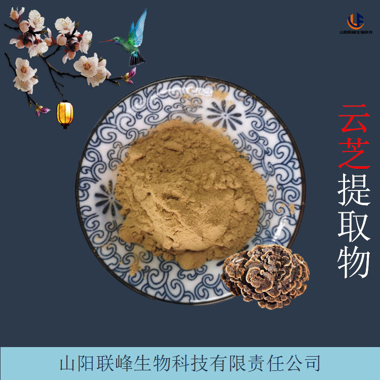云芝提取物 植物萃取原料 浓缩云芝粉 棕黄色水溶粉