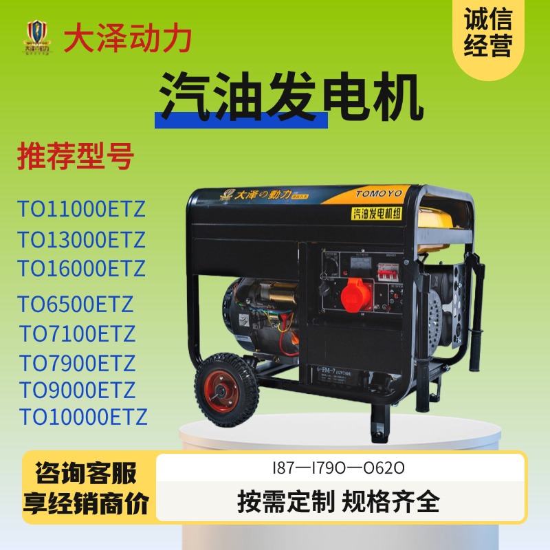 小体积 大泽动力5KW开架式汽油发电机 手推式 型号TO6500ET-Z 220V